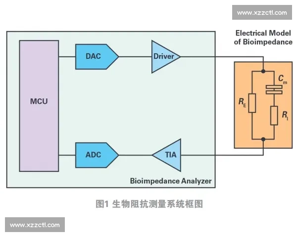 皇马 AI 医疗革命:生物电阻抗与代谢组学重塑伤病预防体系